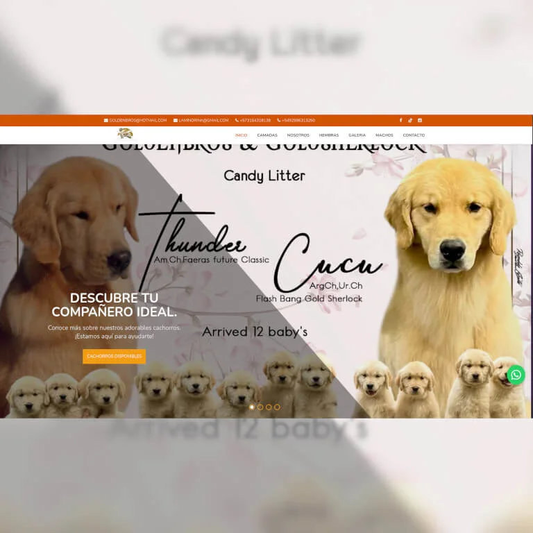 Proyecto Diseño Web GoldenBros